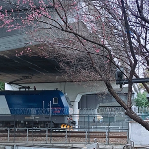 请输入相册名称